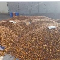 تمر علف • للبيع • السعر حسب المكان