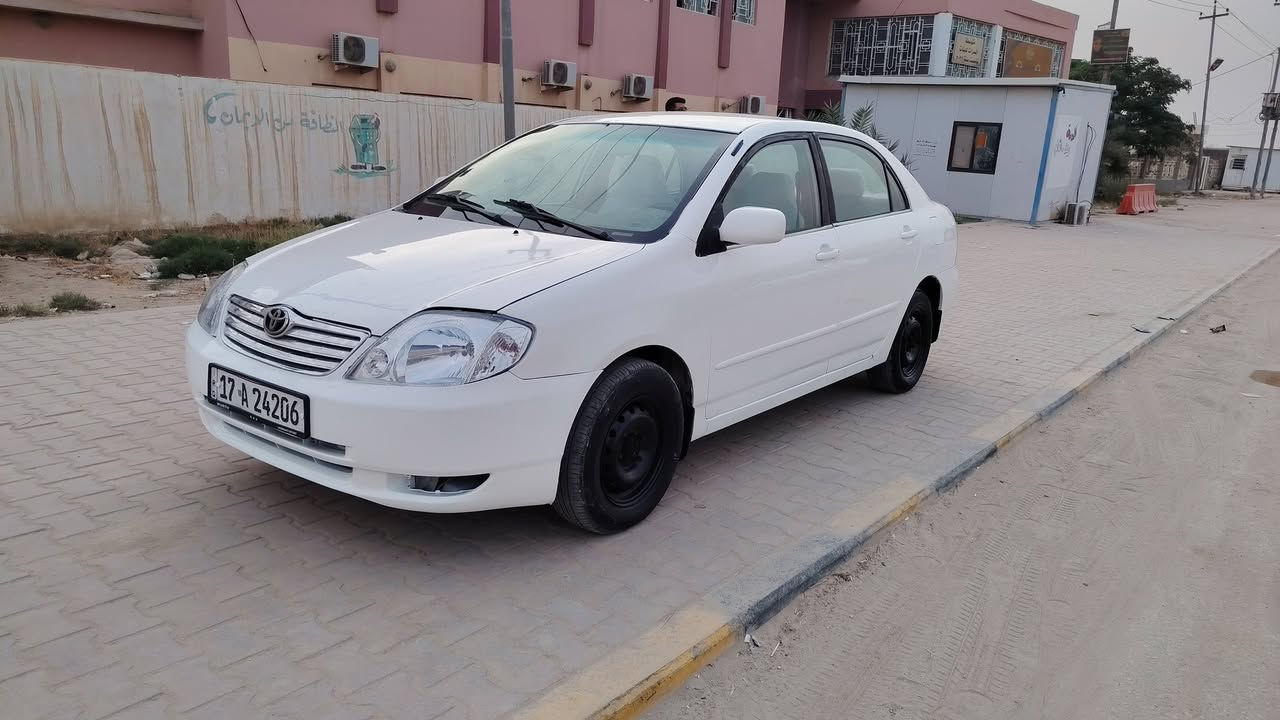 كورلا بيكاتشو • ٢٠٠٢ • نجف مشخاب