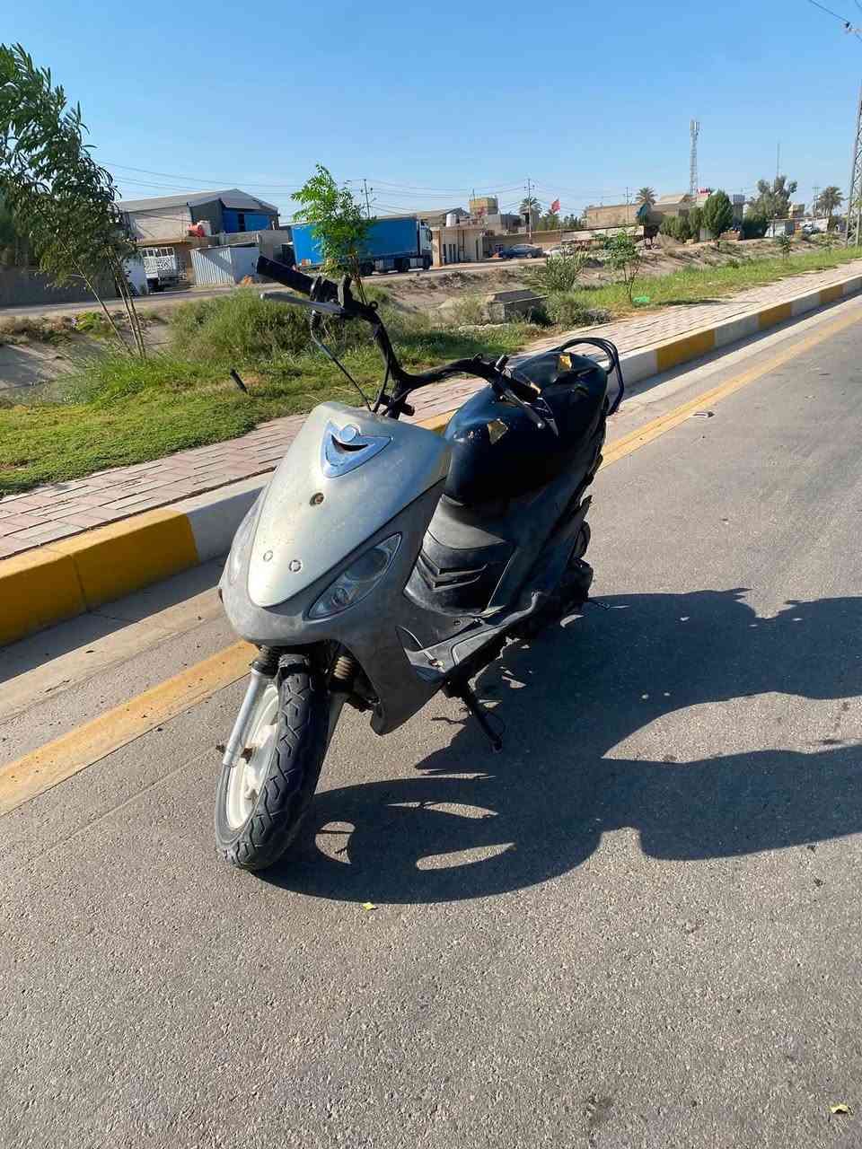 ماكس منغولي • نضيفه • ٤٩