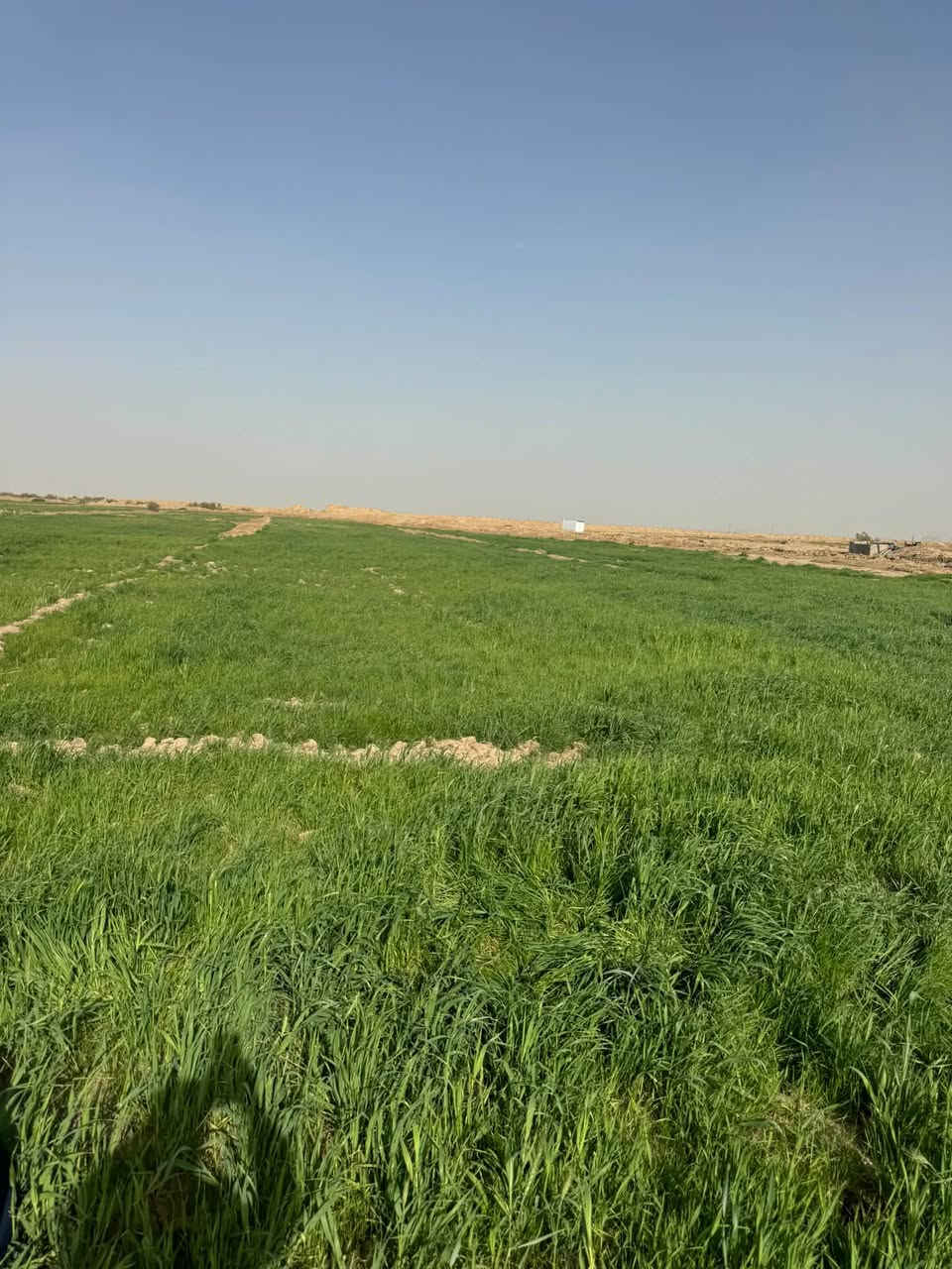أرض زراعية • ٢٠٠دونم • طريق بغداد