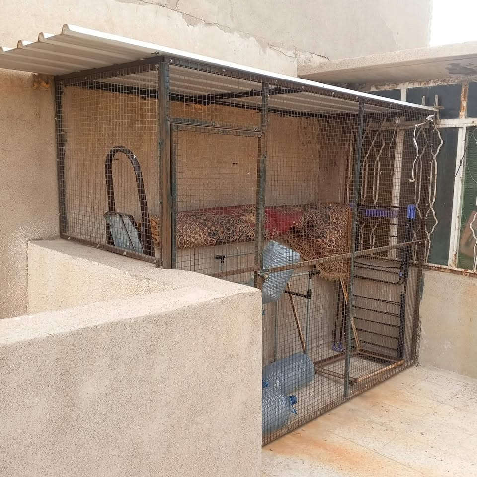 سلام عليكم للبيع قفصين مال طيور ودجاج هم يرهم سعر 180 وبيهم مجال مكان موصل حي
شراي يتصل ‭***********‬
