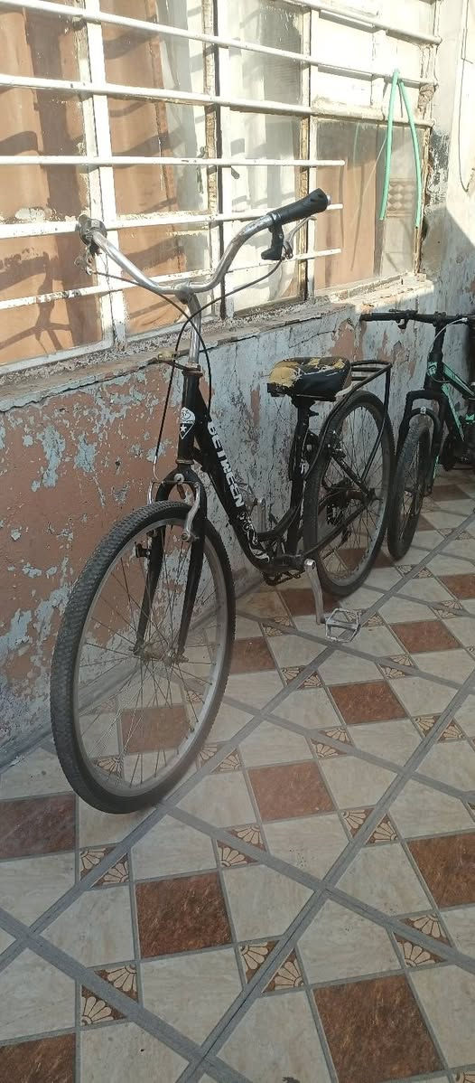 باسكل بطه تجاري للبيع مابي بريكات وستيرن ثكيل يرادله صجم سعر 50 وبي مجال بسيط رقم ***********
