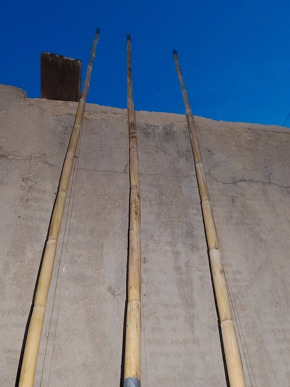 زل فارسي • اصلي • صيد
