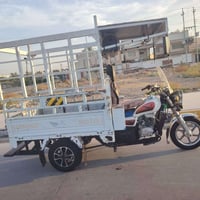 ستوتة • موديل ٢٠٢١ • رقم وسنوية