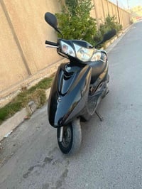 ببغاء • نضيفة • مجال بسيط
