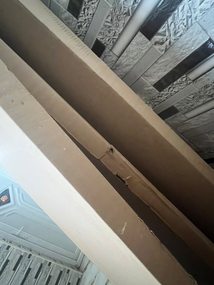 ٥بيبان • جديد • مع غراضهن