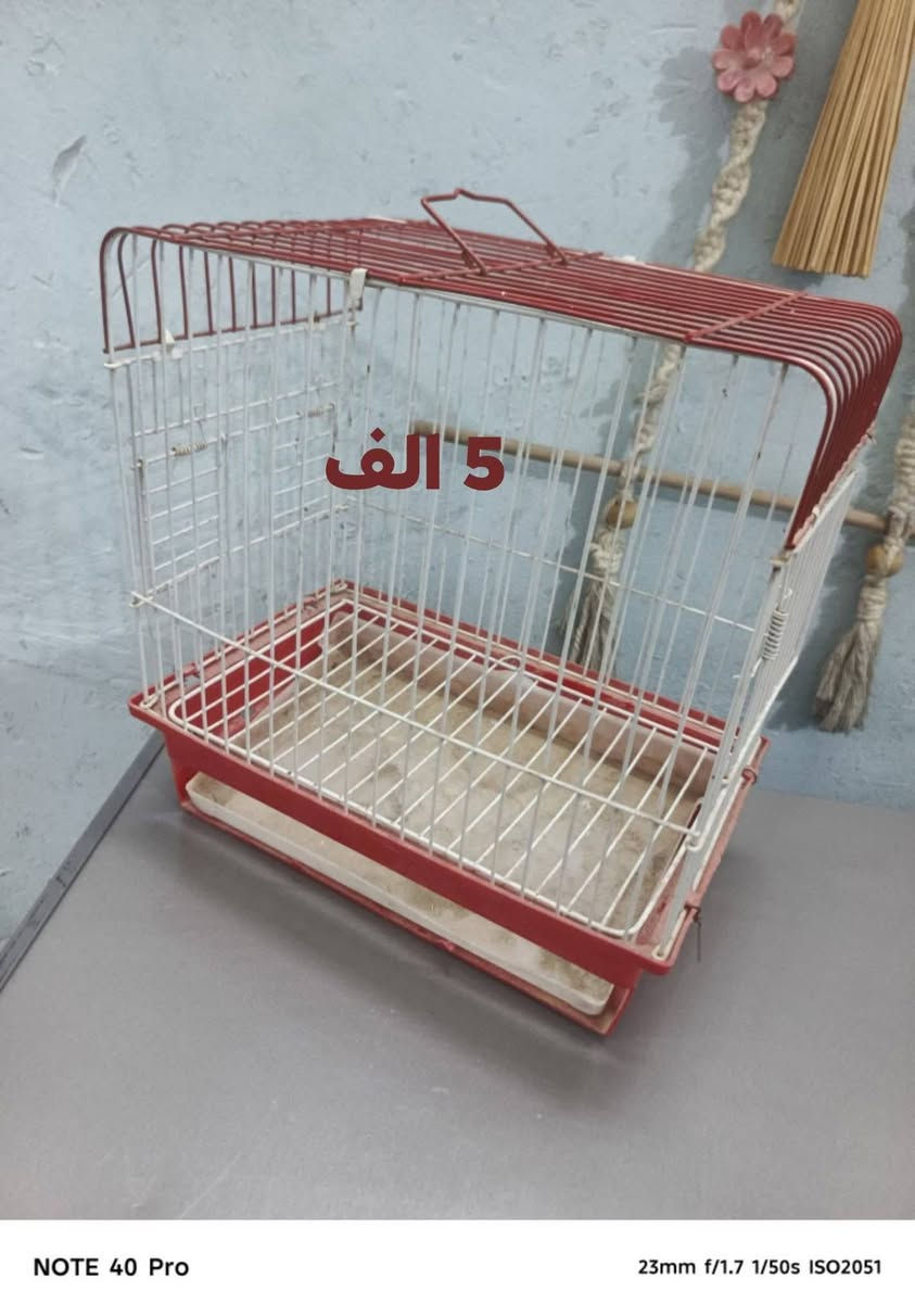 حي الجهاد شارع السوگ للاستفسار ***********

نص مكتوب في الصور:
- 10 الف بيها نقص بسيط وشغاله
- 20الف
- 15 الف وبي نواقص
- 5 ألف
- NOTE 40 Pro
- 23mm f/1.7 1/50s ISO2051
- 10 ألف.