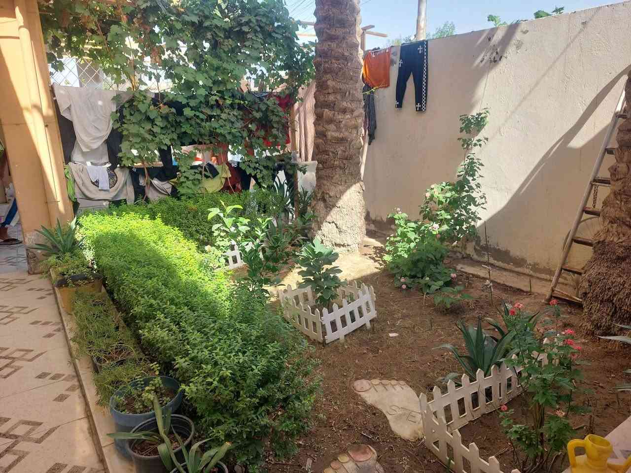 الدار للبيع م 200 متر داموك الشهداء المربع الثاني قريب على معمل ارقام المرور جاهز ماتذب عليه ربع دينار ترميم 23 من الاف للياء قاطين اربع غرف منور و ترك صحيات وحمامات خارجيه وداخليه هول ومطبخ وكراج وحدايق اثنين خارجيه وداخليه لمعرفة التفاصيل اتصال ***********
