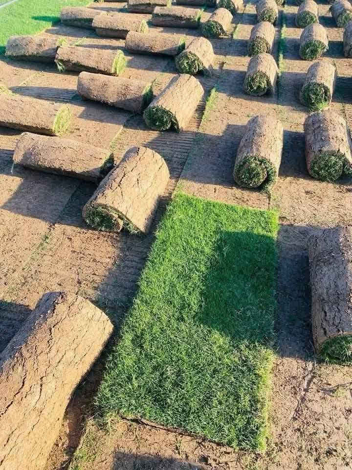 🌳 نوفر لكم كافة أنواع الأشجار والنباتات الظلية الداخلية والخارجية
🍃 والثيل بأنواعه الطبيعي والصناعي
🏡 تنفيذ وعمل الحدائق بأيدي كادر متميز وبأجمل التصاميم
📍 العنوان: بابل – طريق حلة/نجف – قرب جامعة بابل
📞 للاستفسار: ***********
🌱 جمال حديقتك يبدأ من هنا… أهلاً وسهلاً بكم
