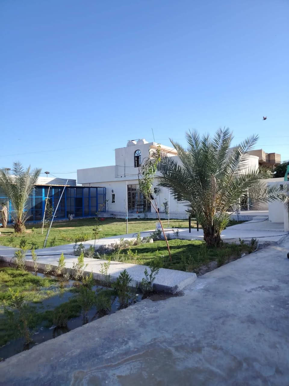 يوجد دونم في بغداد منطقة ركية وفاضل يحتوي على 
بيت ومضيف طابو صرف 
للتواصل والاستفسار الاتصال على الارقام التالية
*********** / ***********
