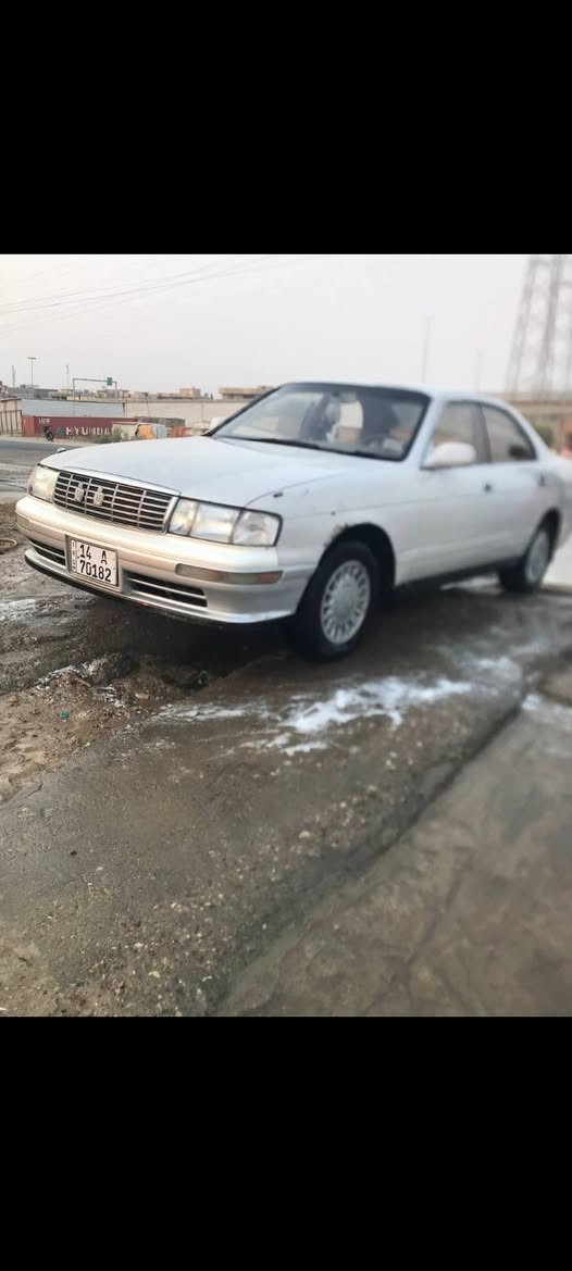 بطه • قير جديد • تبريد ثلج