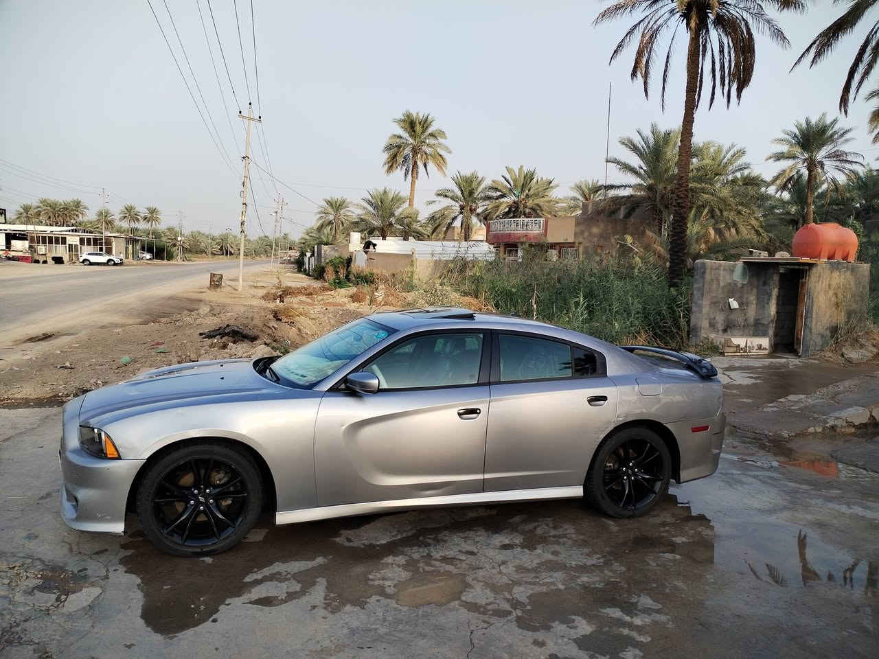 فول للاخير • موديل ١٤ • رقم بغداد