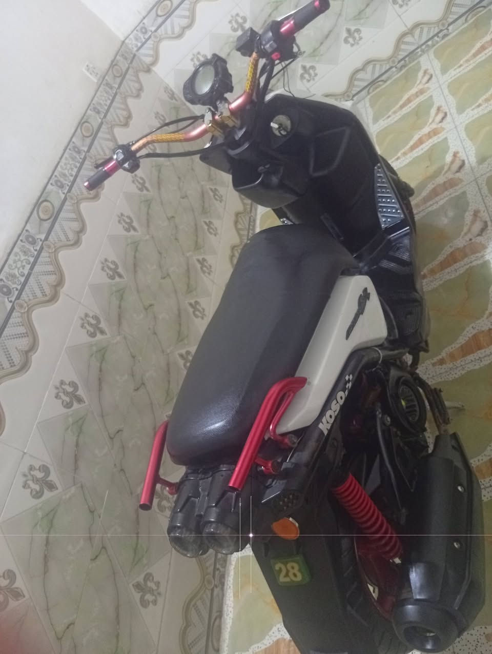 سكنس جبلي • بلاديه • مجال بسيط