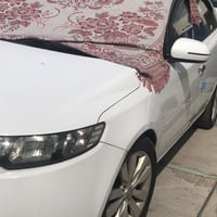 فول عدا البصمة • بدون صبغ • ٢٠١٢