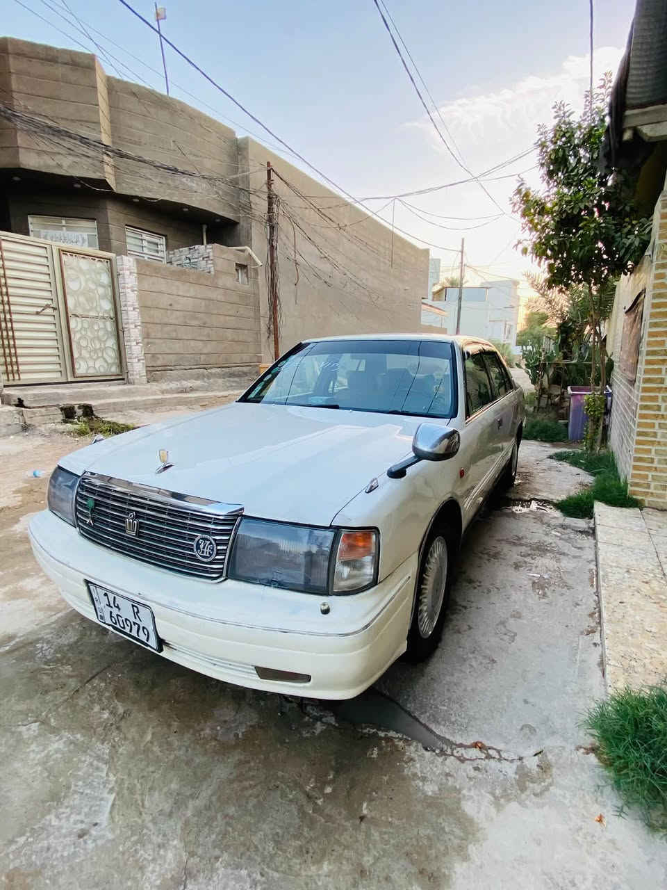 سلام عليكم البيع راس ثور تكم  الاستفسار ***********
