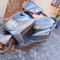 سكنس فحل • نوزل • كفالة
