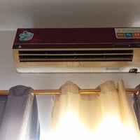 سبالات • اثنين • عطلات بسيطة