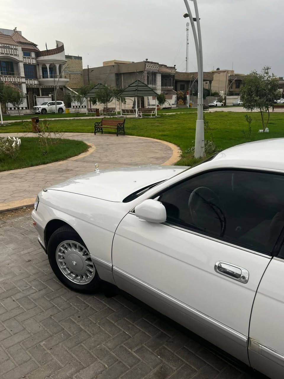 كراون بطه • ١٩٩٥ • رقم بصره