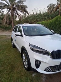 لا توجد تفاصيل