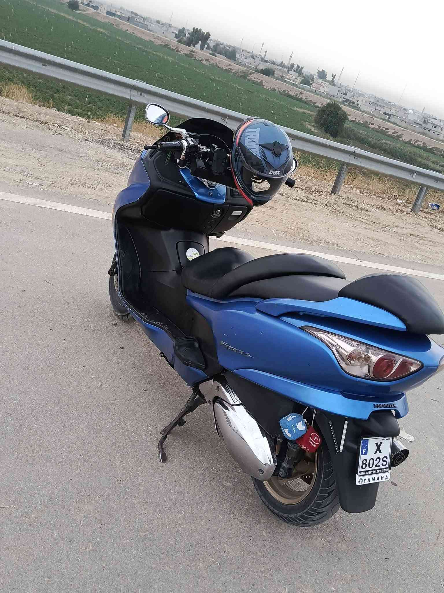 فورزا • ٢٠٠٩ • بيش رايدها