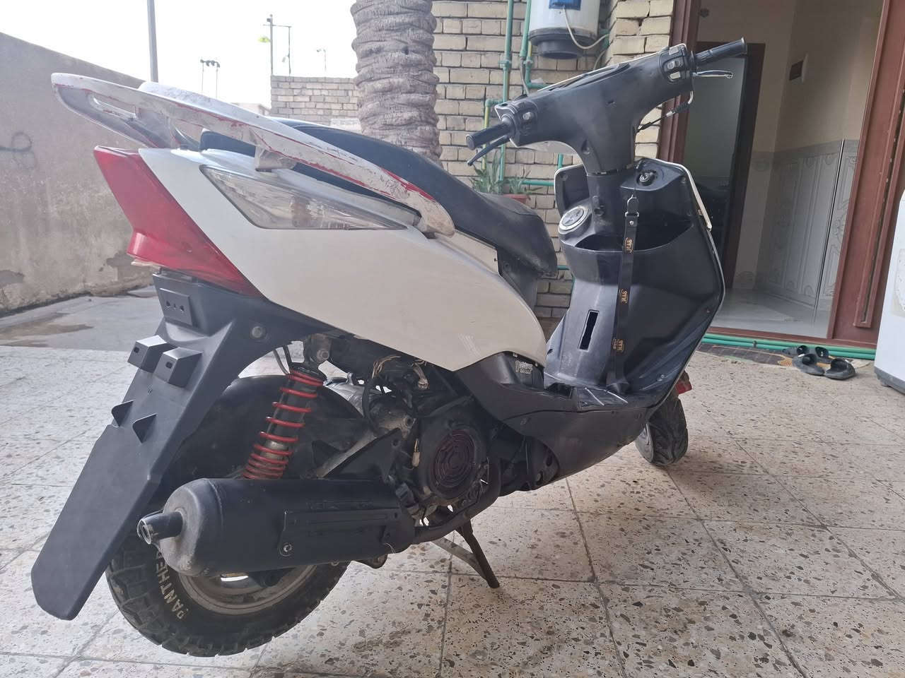 ثعلب ماكس • نظيفة • سلف