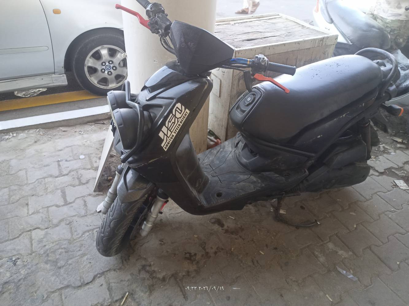 سكنس جبلي • مراوس • ميسان