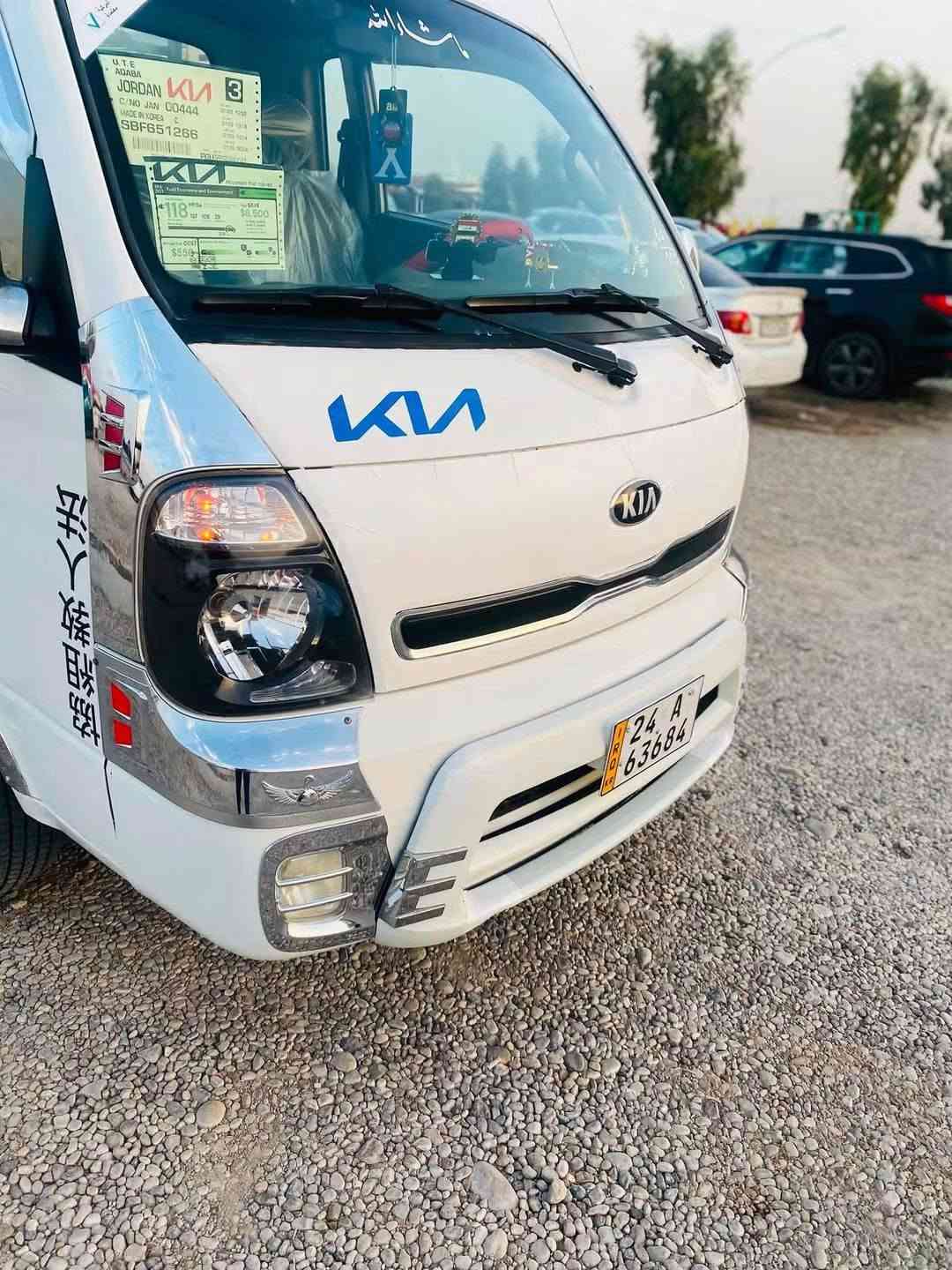 حمل فحل • صبغ عام • ٢٠١٦