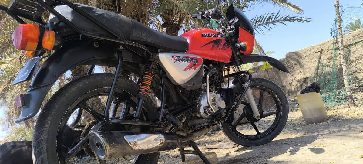 سلام عليكم بوكسر البيع اوراق أصولي مكان غضاء الغراف الاتصال واتساب*********** او اتصال ***********سعر مناسب مستعجل عل بيعته
