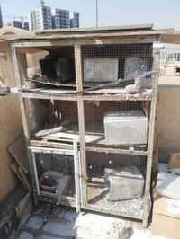 برج الطيور • حي الإعلام • تقاطع درويش
