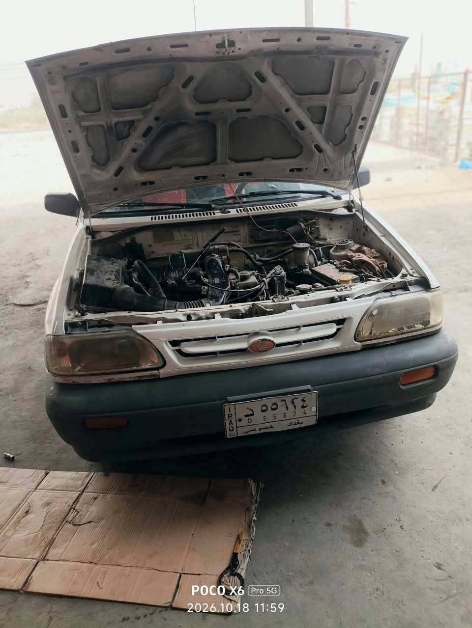 سايبا خصوصي • ٢٠١٠ • حك الجية
