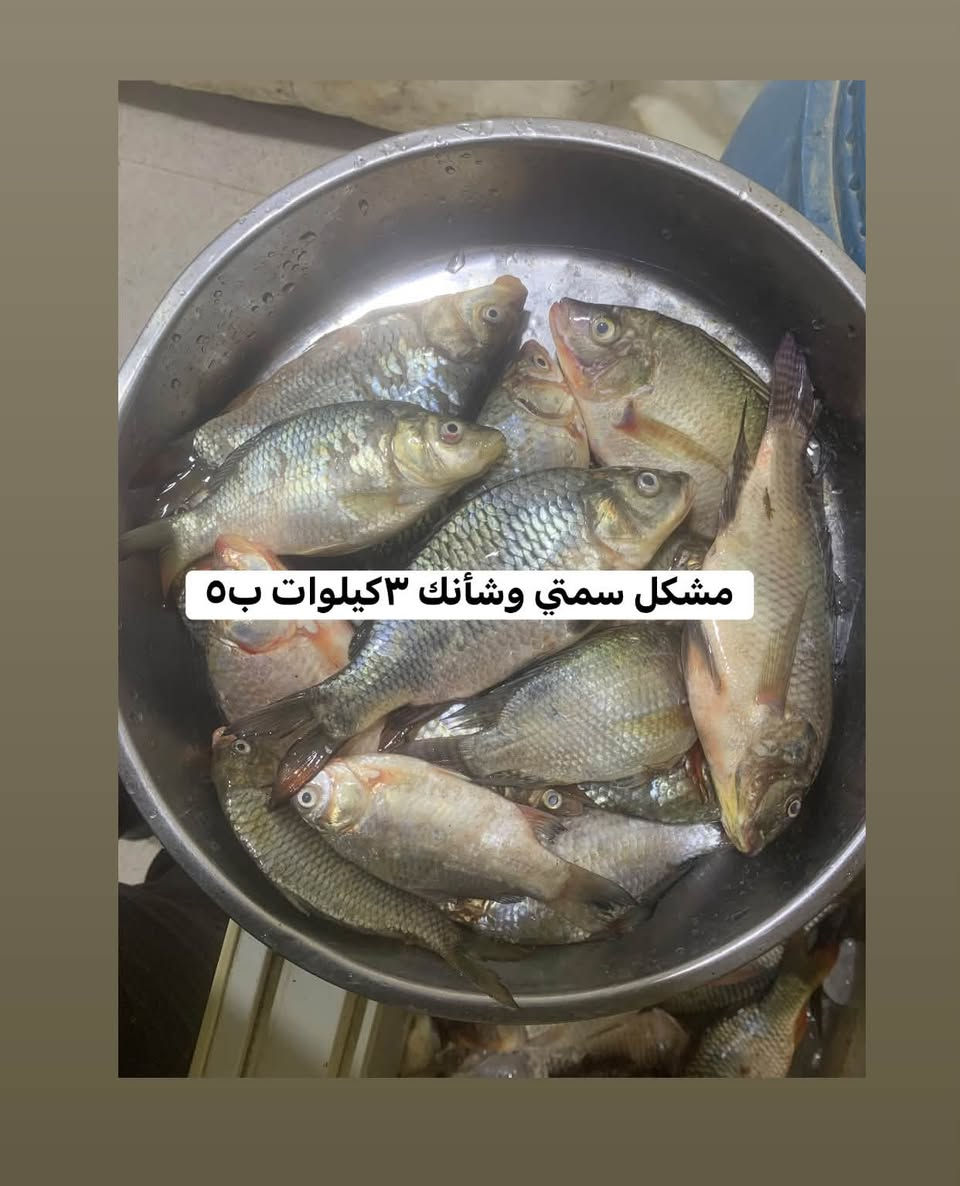 الكفاءات • توصيل • سمتي