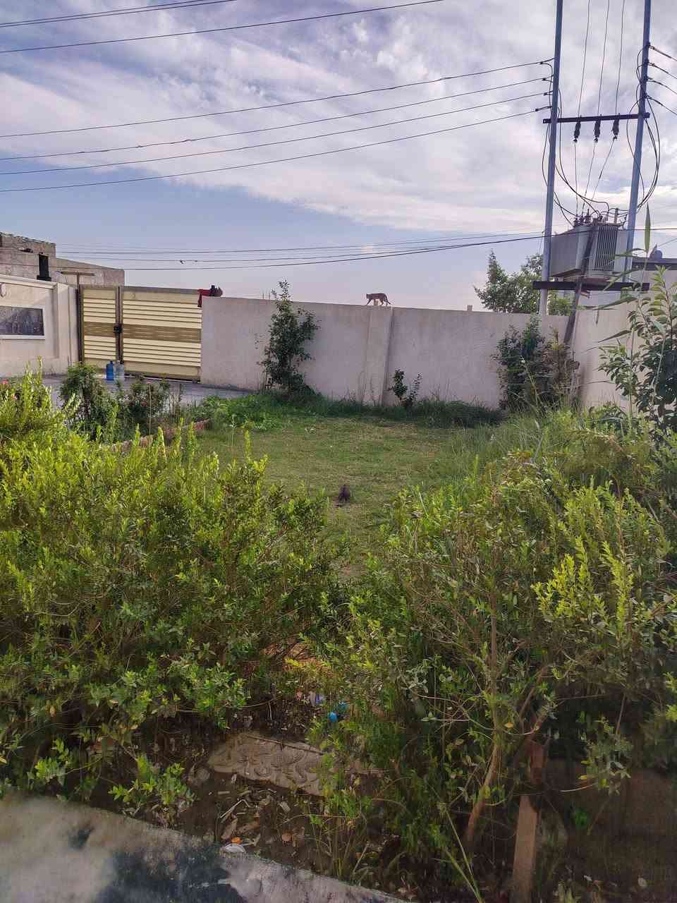 بيت للبيع مساحته 400 الواجه 12 والنزال 33 ثلاث غرف نوم حولي استقبال مطبخ حديقه اثنين حمامات
 مكانه المسارة الاولى يم الحقول التاجي شارع تبليط كهرباء ومي خير من الله  وبي برج مال النت للاستفسار اتصال على هذا الرقم ‏‪***********‬‏
