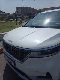 كرنفال • ٩ راكب • ٢٠٢٣
