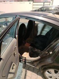 صني هندي • ٢٠١٩ • النجف