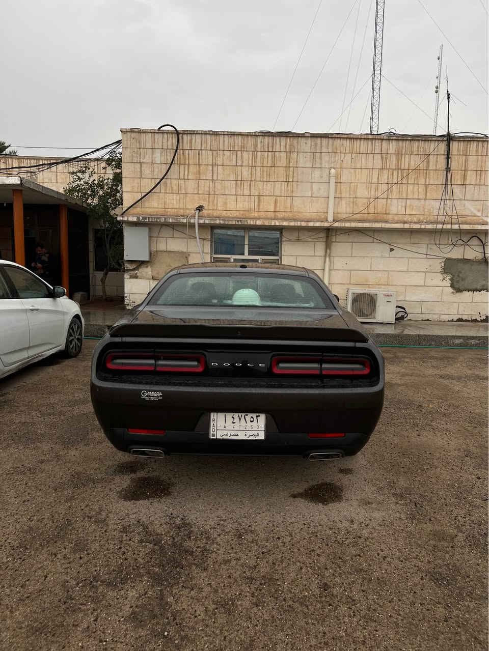 دودج تشالنجر • ٢٠٢١ • بدون صبغ