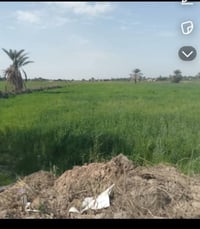 ١٥٠ دونم • طابو زراعي • تجارية شارع عام