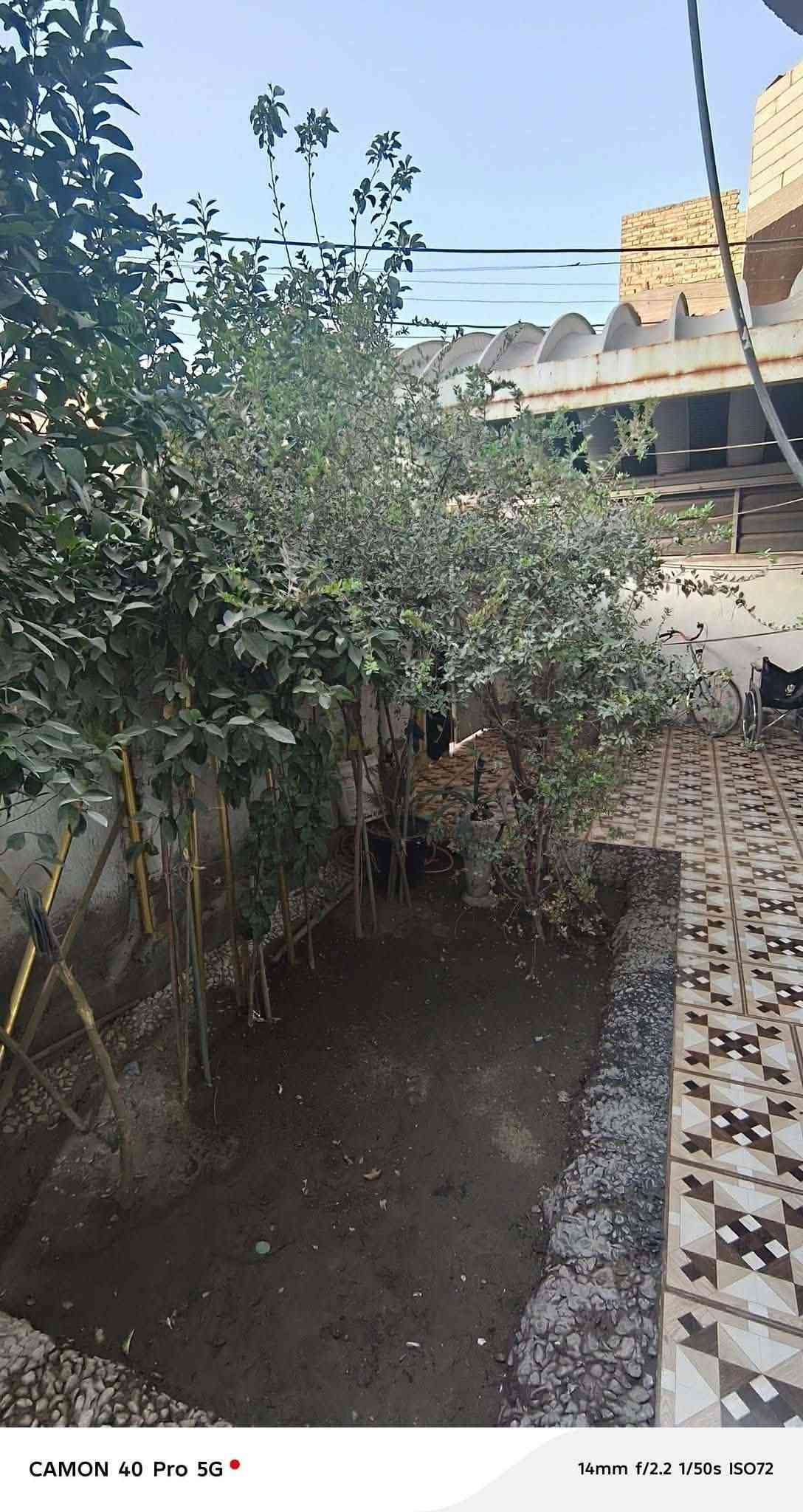 حلة الصدرين • غرفتين • طابو زراعي