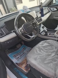 ٢٠٢٦ • فئة بريميوم • ماشيه قليل