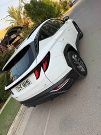 وسان • ٢٠٢١ • بدون صبغ