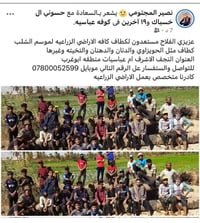 النجف الاشرف • قطاف الشلب • خدمات زراعية