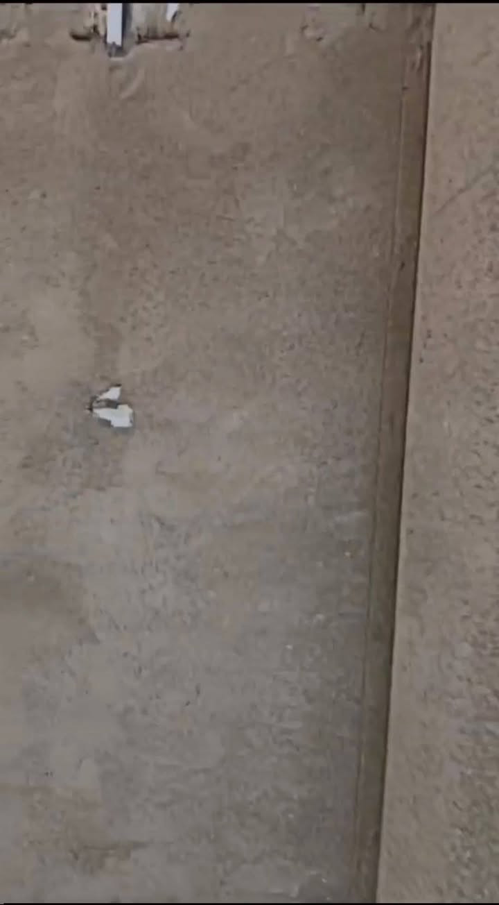 ***********
شغل درجه اولى مناسب
