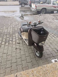 فينو مولفي • نضيفة • قليل الاستخدام