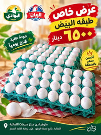 طبقه البيض • بيض طازج • الثعالبة الثانية