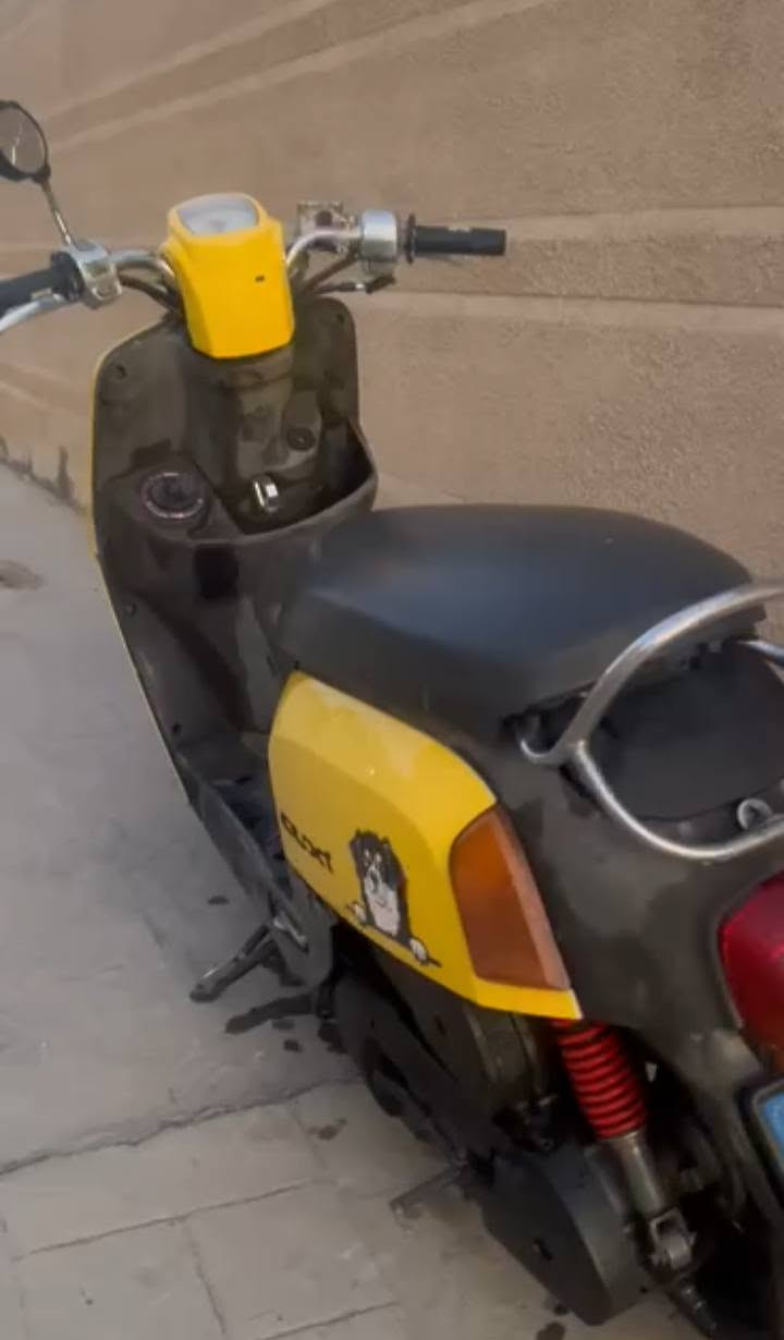 بوليس • للبيع • سعر خاص