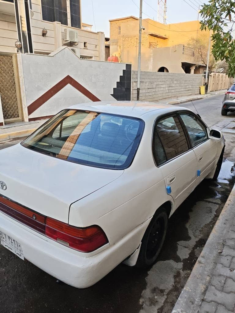 كورلا نفخ ياباني مديل 1991 رقم بصرة شرط تحويل مكينه وكير كفاله حداده تخم تاير كهربائيات كلها كفاله نقصها فقط تبريد يرادله ترتيب وموجود كمبريسر شغال كفاله من الضربة القوية و العيب الشرعي البدي شوف العين العنوان بصرة السعر 45 وبيها مجال قليل هـ*********** البصرة, العراق
