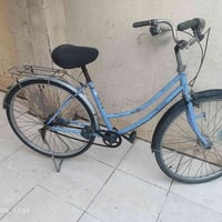 باسكل • نظيف • صور ٢٠٢٦
