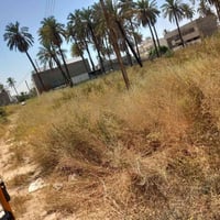 قطعة ارض للبيع سند ٢٥ بستان الكبيسي مساحة الارض ١٠٠م  الواجة ٥ النزال ...