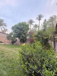 بابل الحله • ٦٠٠م • سند٢٥