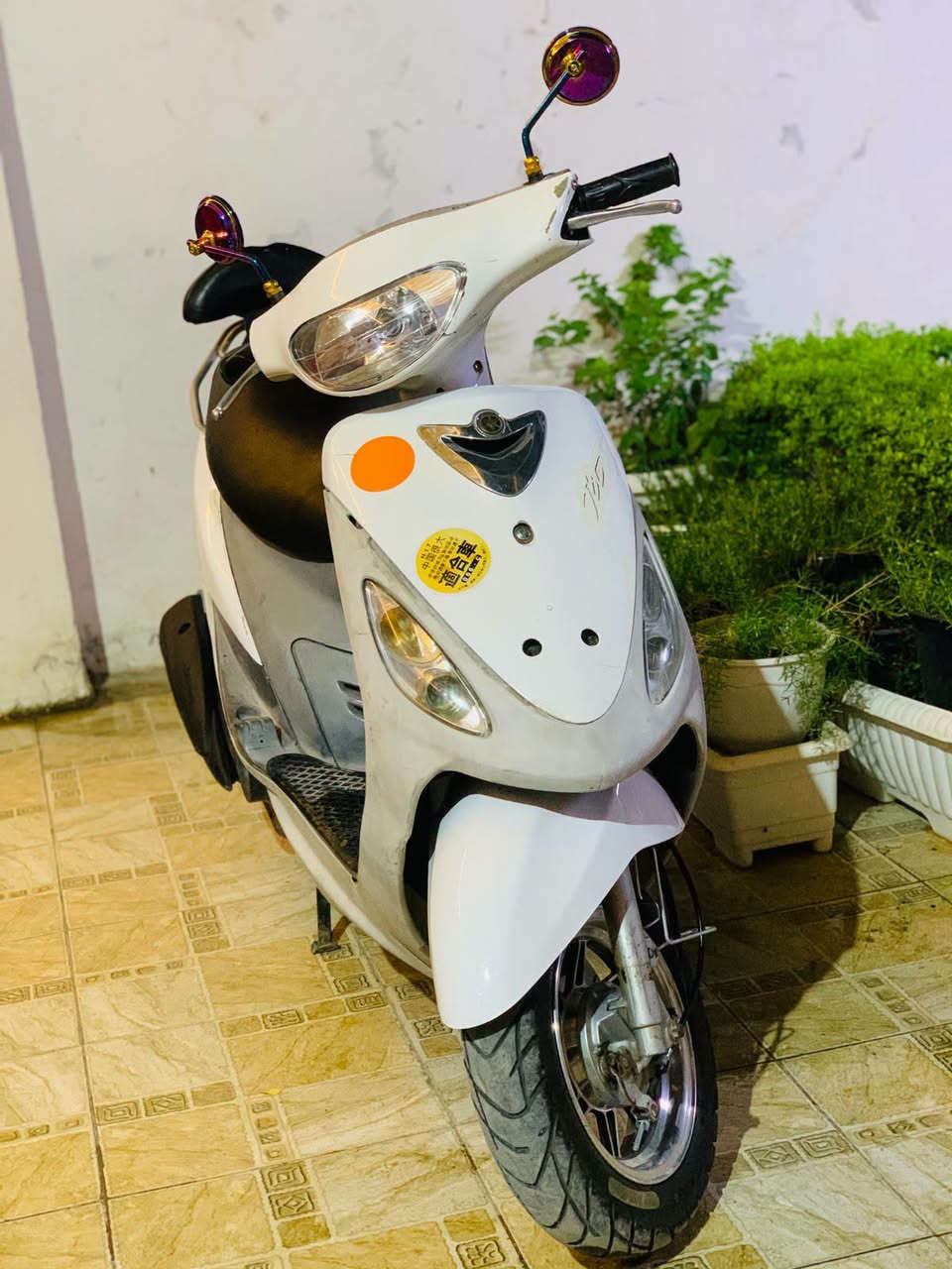 ماكس منغولي كفاله عامه ب750 وبيها مجال حله مركز/***********
