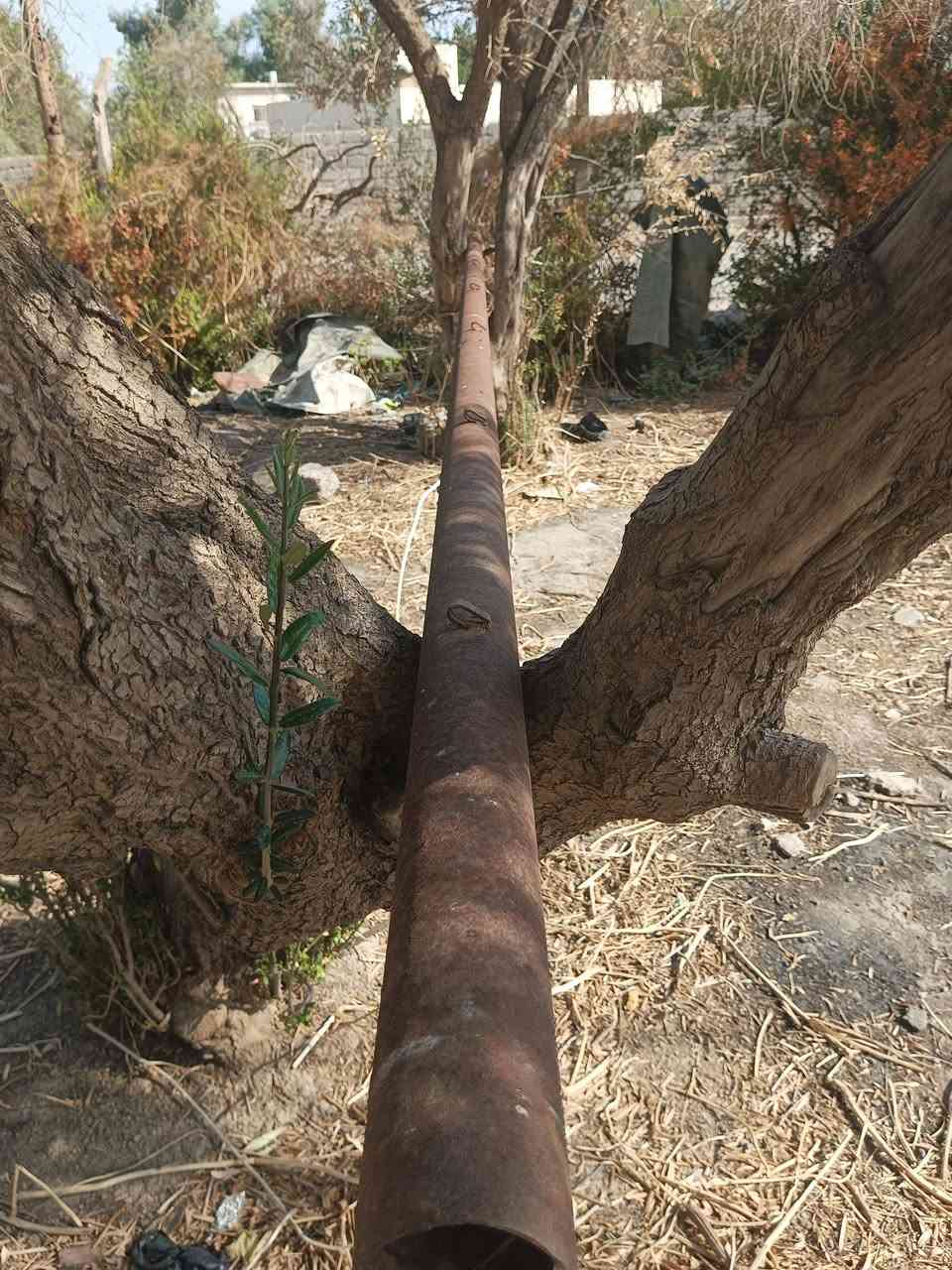 شلمان ٤ • بوري حديد ٦م